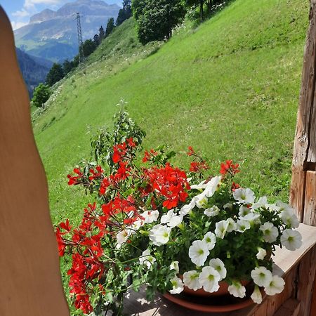 Appartamento L' Aier - Arabba - Dolomiti Livinallongo Del Col Di Lana Exterior foto