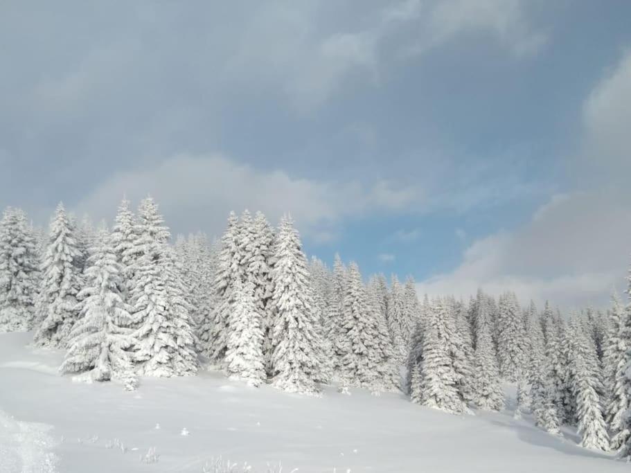 Appartamento L' Aier - Arabba - Dolomiti Livinallongo Del Col Di Lana Exterior foto