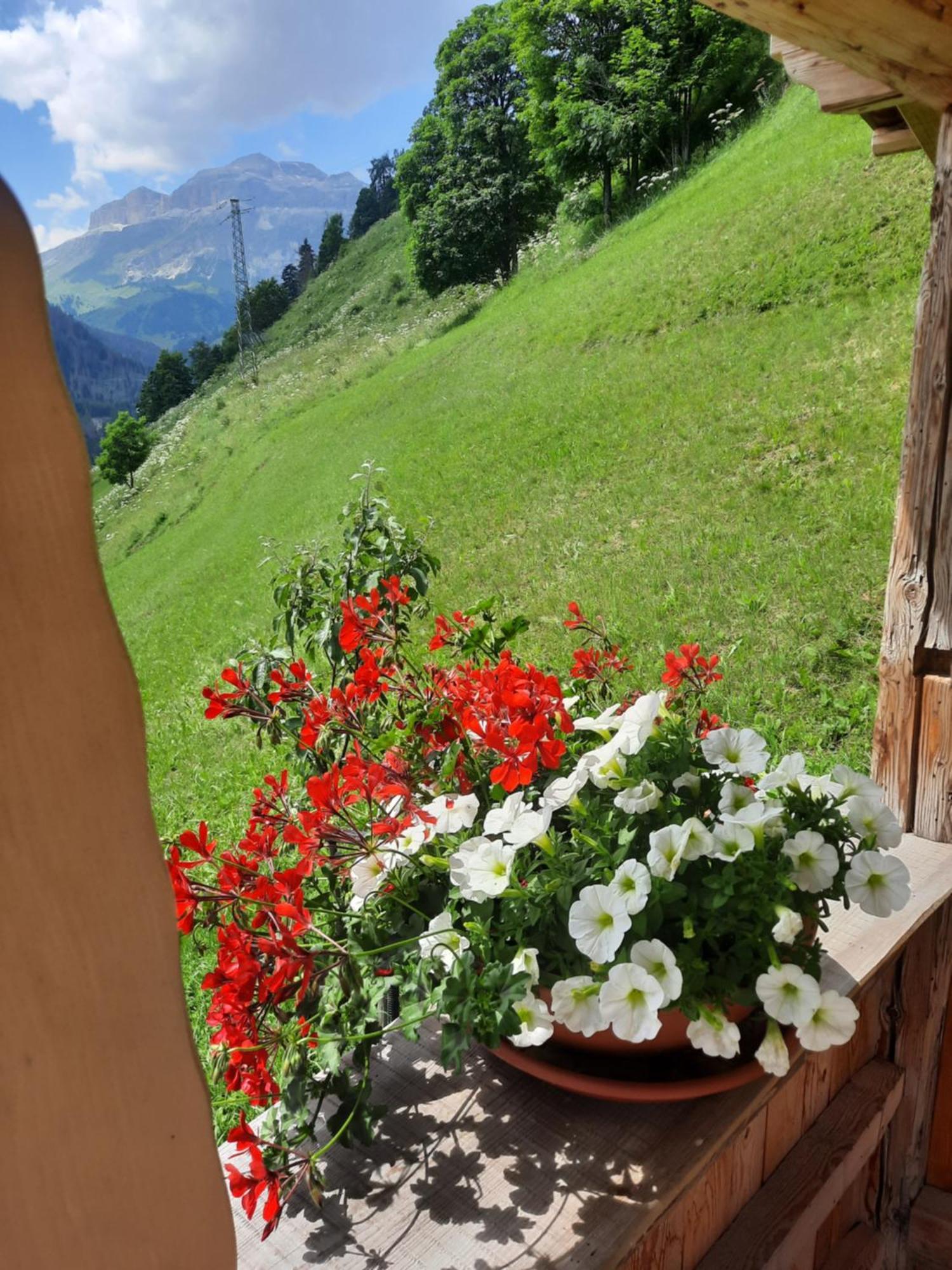 Appartamento L' Aier - Arabba - Dolomiti Livinallongo Del Col Di Lana Exterior foto